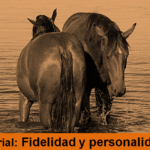 12 01 25 Fidelidad y personalidades