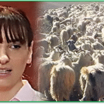 ESTEVES TRASHUMANCIA 2