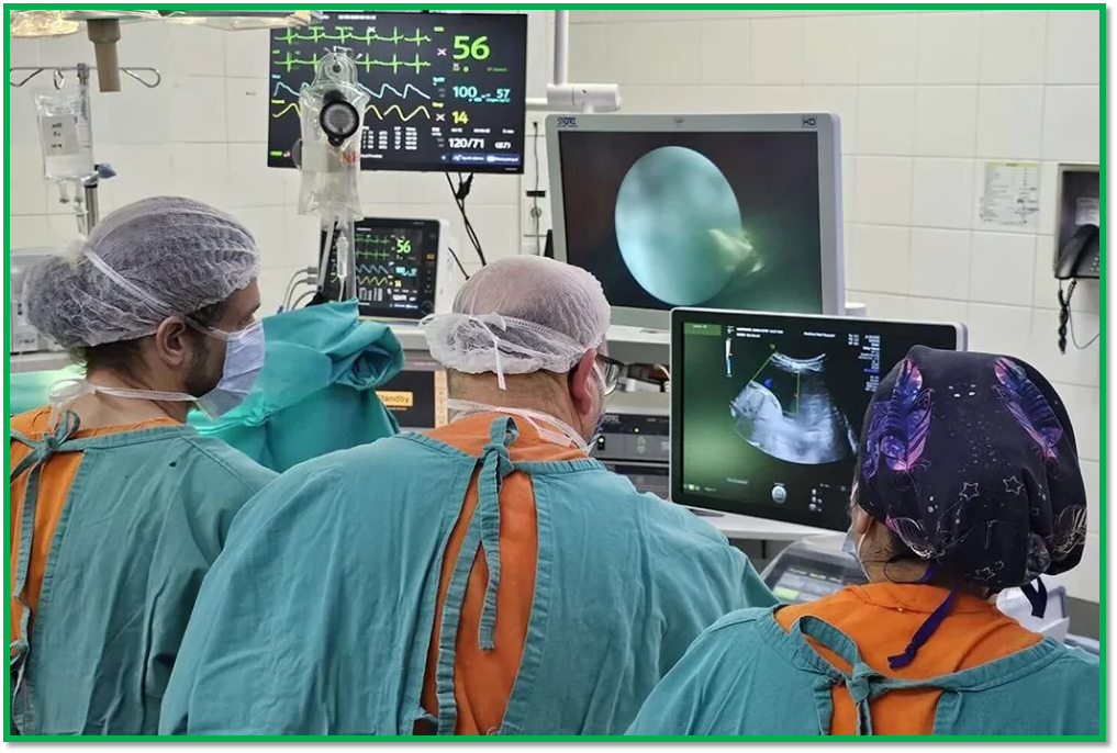 Nuevas inversiones en servicios de salud