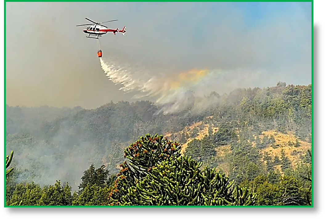 Neuquén ayuda a Chile