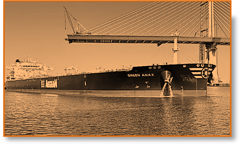 Neuquén/Vaca Muerta/Puerto Rosales y el mundo