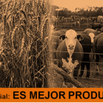 03 18 26 ES MEJOR PRODUCIR