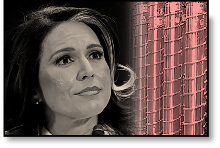 INTELIGENCIA EEUU GABBARD