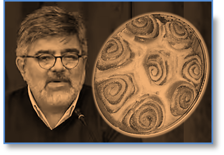 JUEZ OJEDA 80 ARTICULOS SUSP