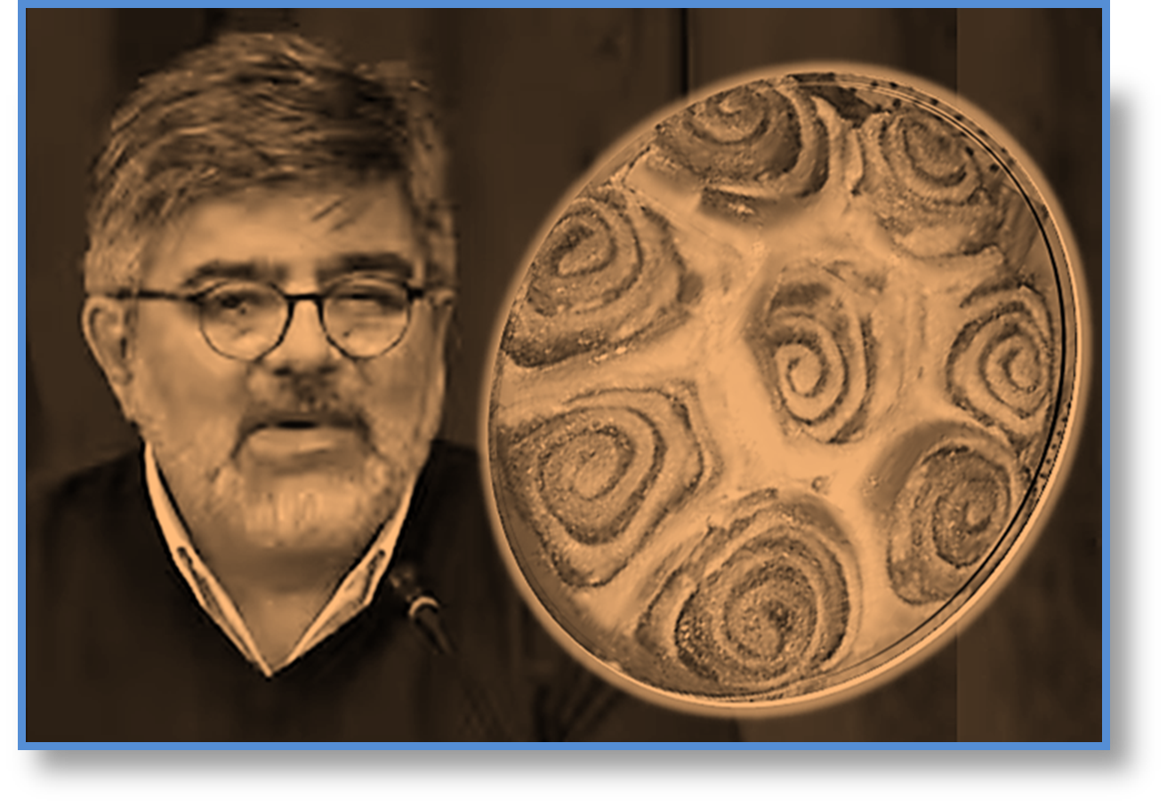 80 golpes y no es la torta