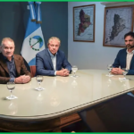 FIGUEROA CONICET IJAN