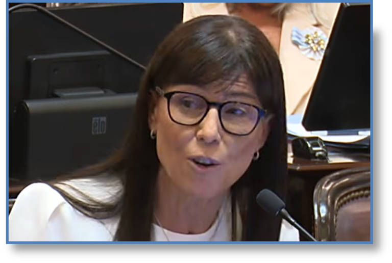 CORROZA SENADO NACIONAL