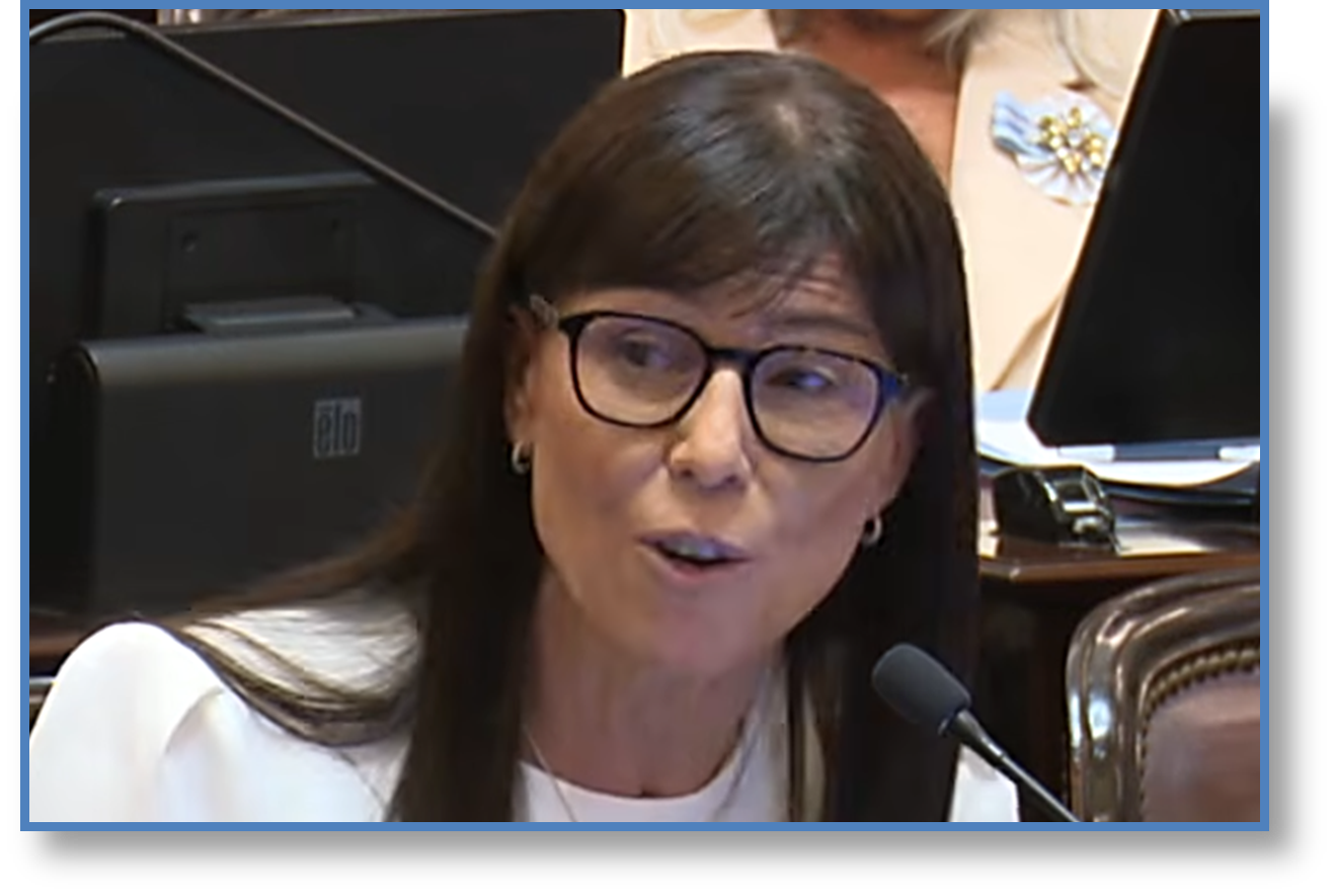 “Nada en contra del bolsillo de los neuquinos”