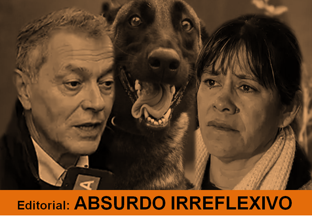 Absurdo irreflexivo