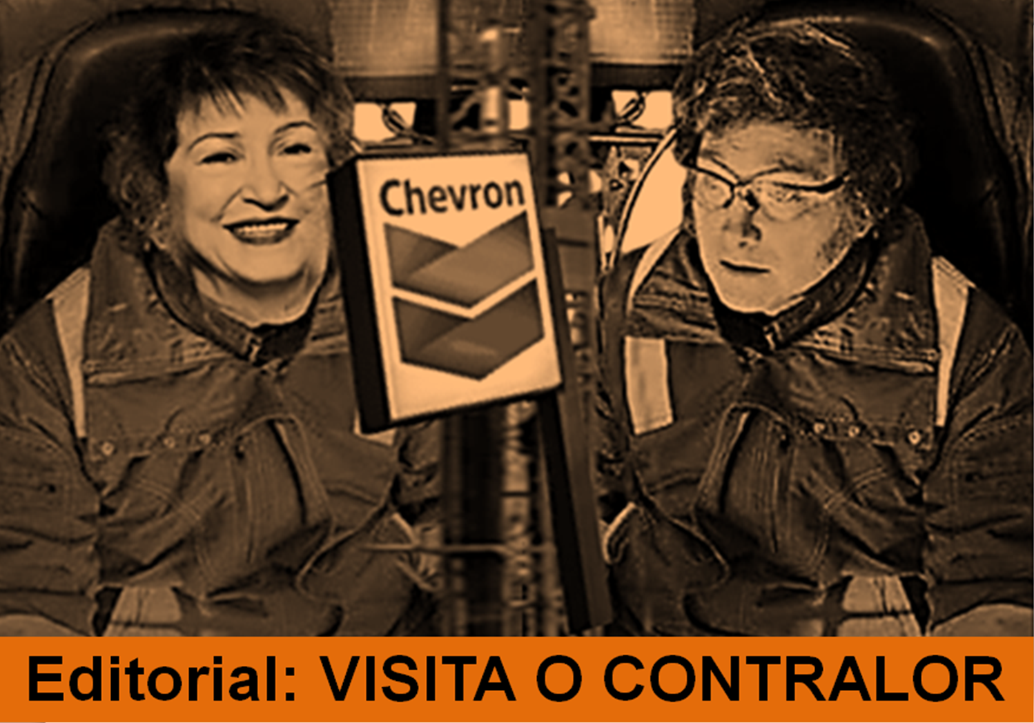 Visita o contralor
