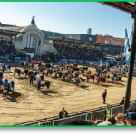 EXPO RURAL 2026