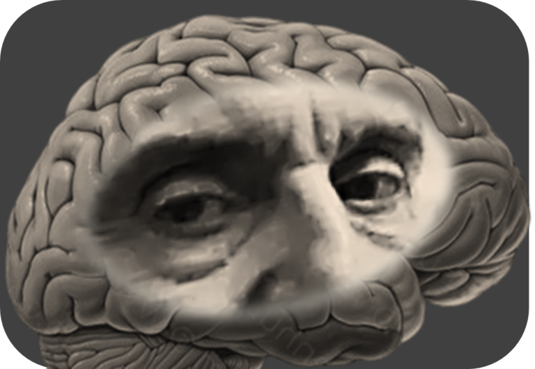 CEREBRO 4