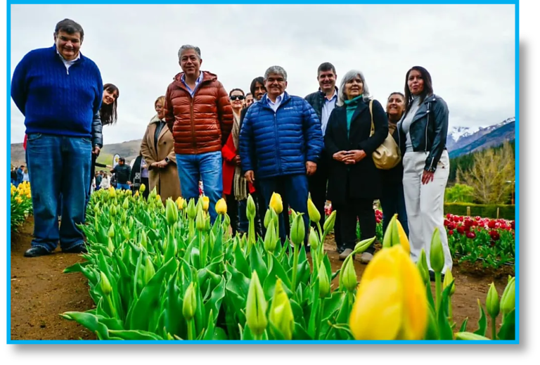 FIGUEROA HUINGANCO TULIPANES