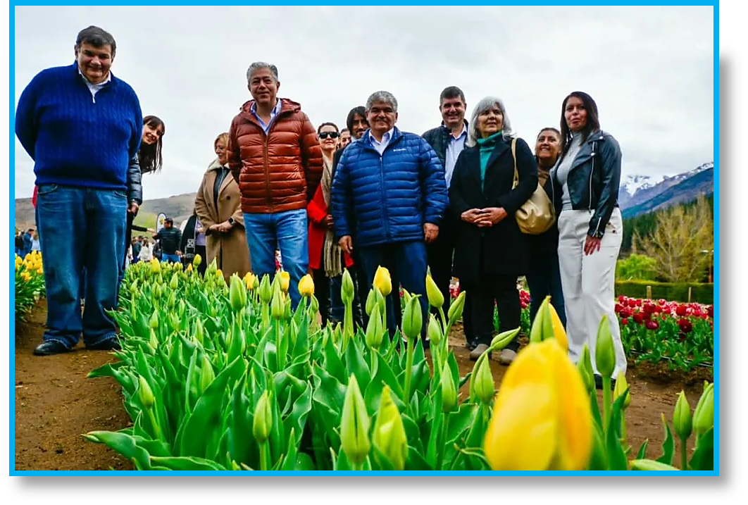 Flor de producción