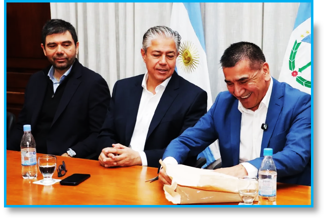 Licitación y respuestas empresarias
