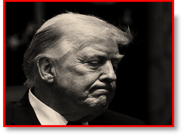 TRUMP TAMBIÉN PERDIÓ